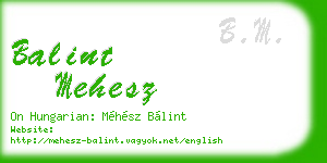 balint mehesz business card